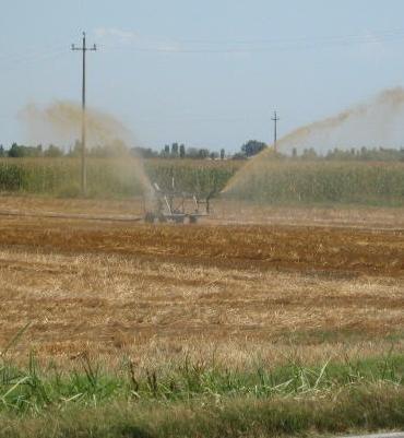 Il team per prevenire l’inquinamento provocato dai nitrati 