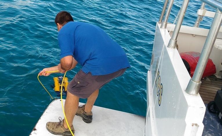 Il guardiano che veglia sulla salute del mare 