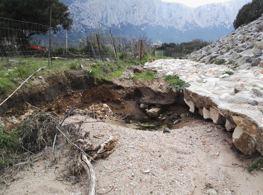 Gli allevatori sul ponte di Oloè: «Serve una pista alternativa» 