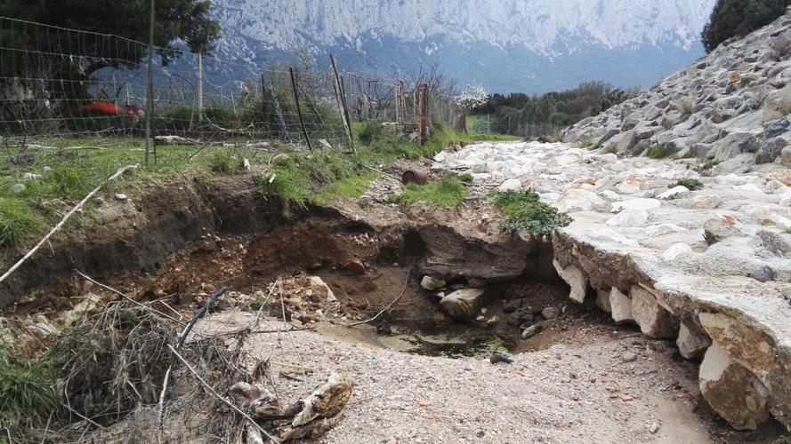 Gli allevatori sul ponte di Oloè: «Serve una pista alternativa»