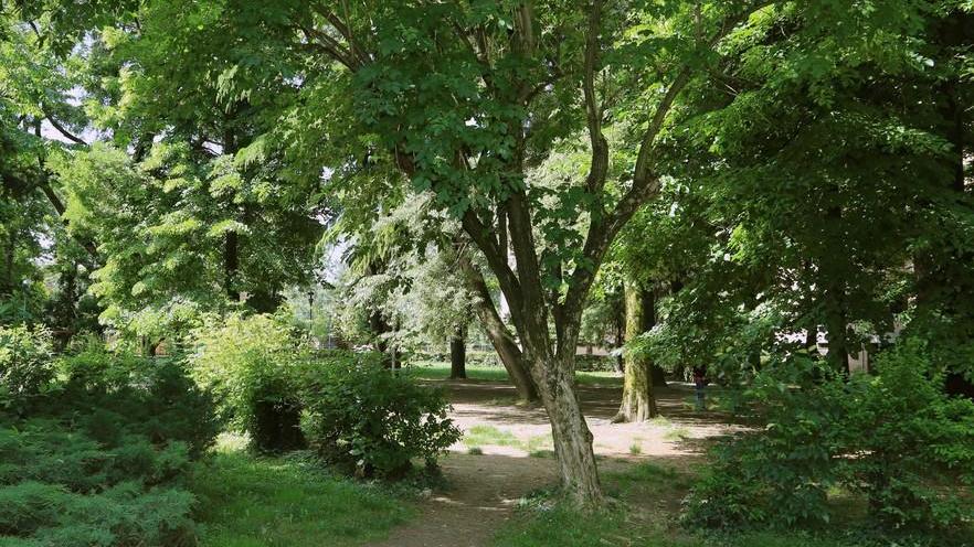 Si vota per il “Parco senza nome”