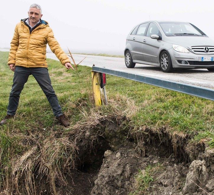 Ferrara, gli agricoltori chiedono interventi contro le nutrie: rischiamo la vita