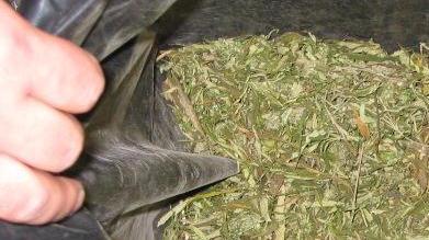 Prima ruba poi gli trovano la droga