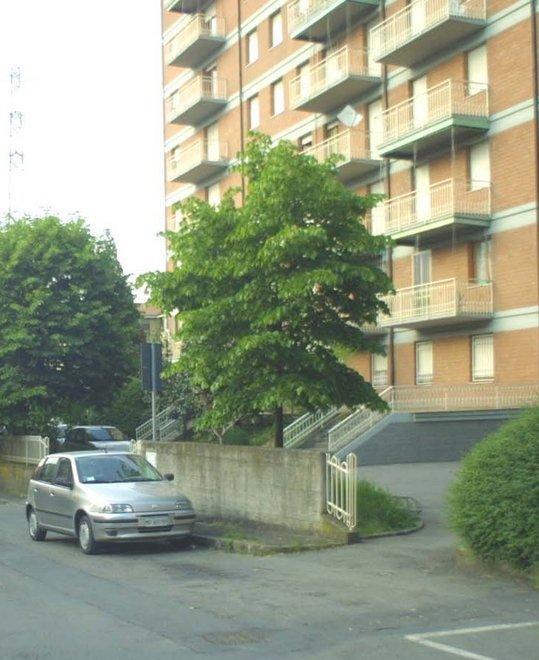 Torna l’incubo dei ladri scalatori 