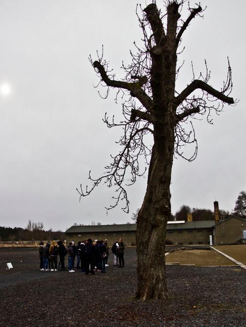 L’intensa commozione dei docenti 