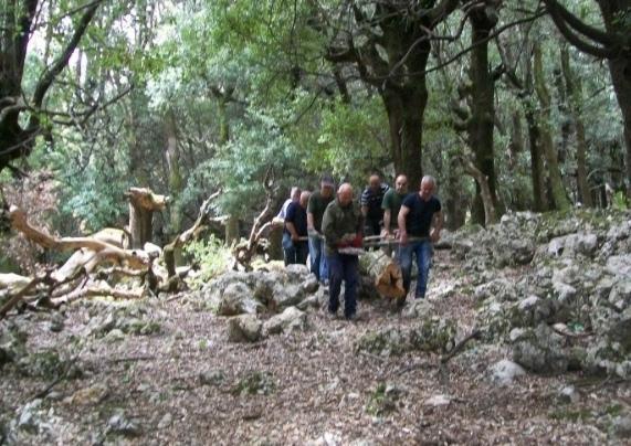 Agenzia Forestas, ancora incertezza per i lavoratori 