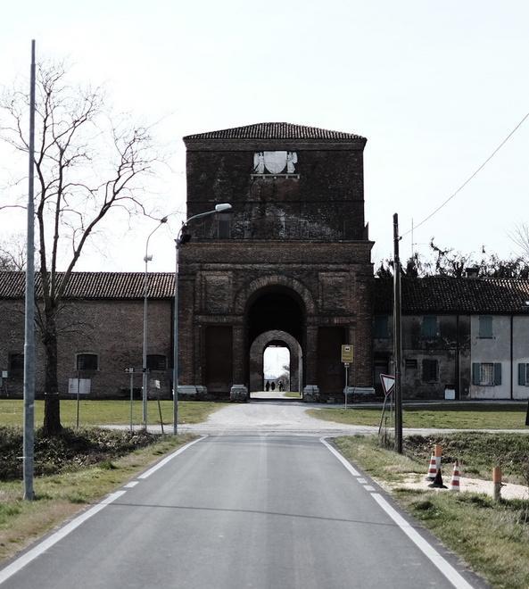 Bianco o nero, è amato in tutto il mondo 