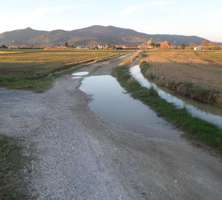 Strade bianche nel degrado la denuncia per via Piccina 