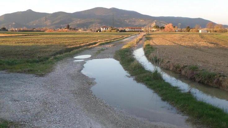 Strade bianche nel degrado la denuncia per via Piccina