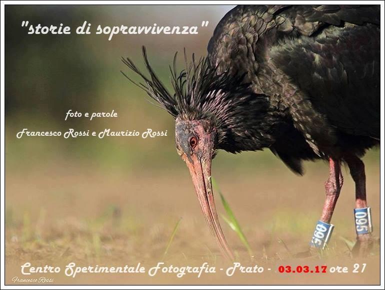 "Storie di sopravvivenza" al Centro sperimentale di fotografia
