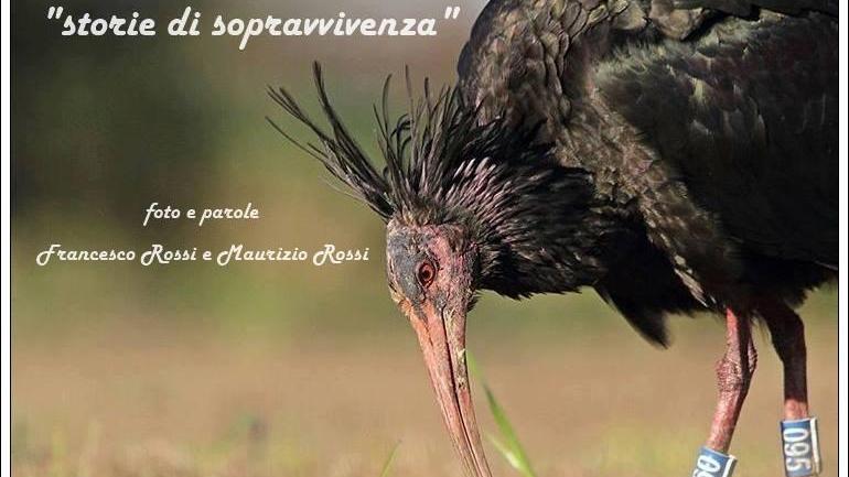 "Storie di sopravvivenza" al Centro sperimentale di fotografia