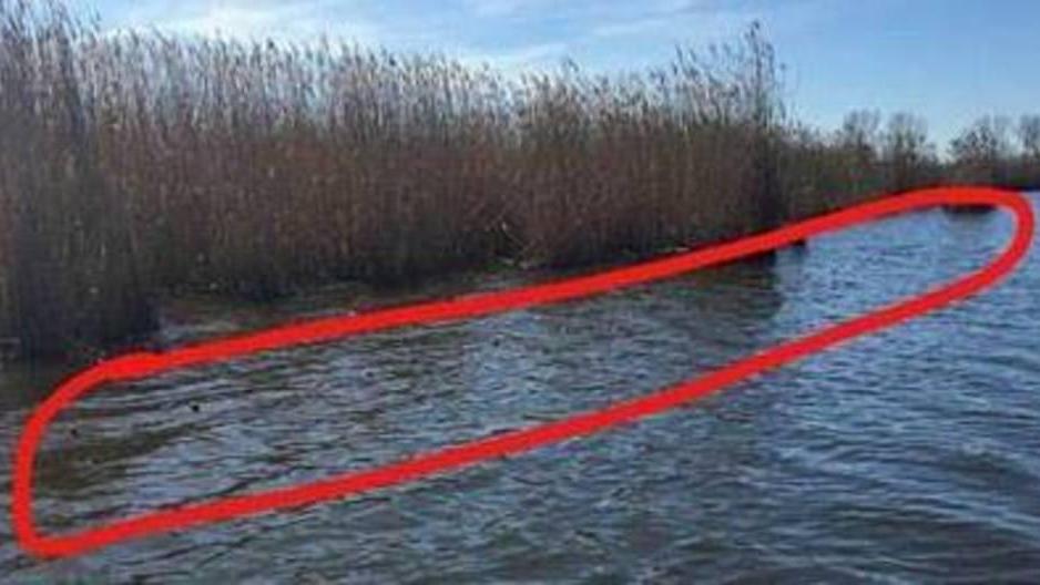 Bracconieri sul lago pescano pesce tossico