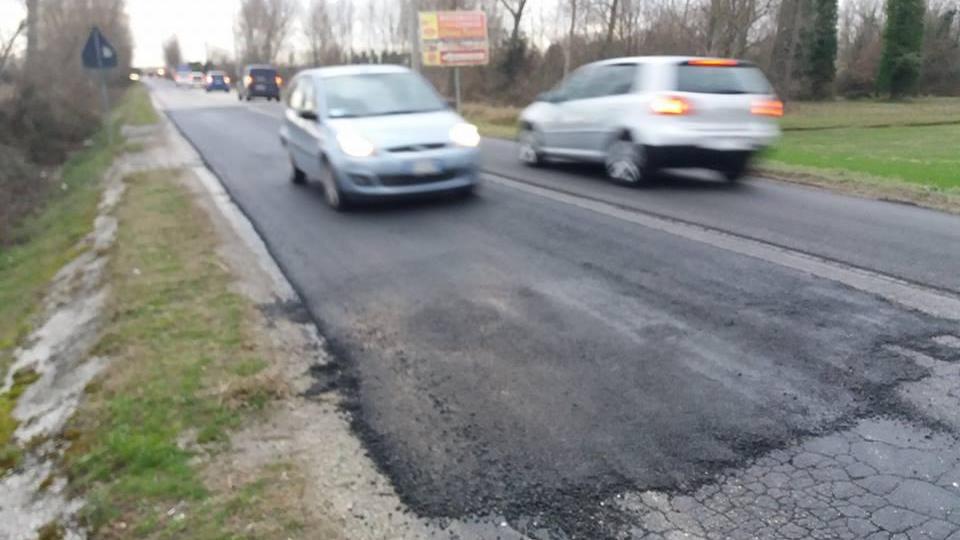 Attenzione sulla Acciaioli