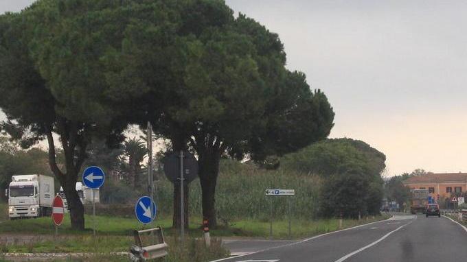 Vivarelli Colonna “apre” all’autostrada