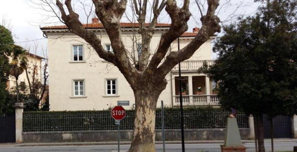 Ipotesi banda per le rapine in casa 