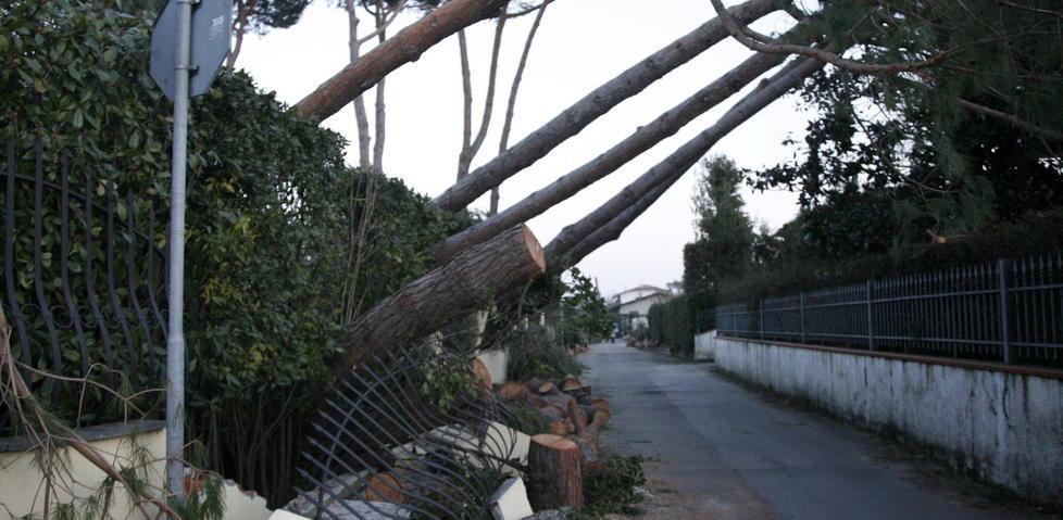 Quasi due milioni di euro per dimenticare la tempesta 