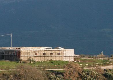 Mattatoio e centro ippico, gestioni difficili