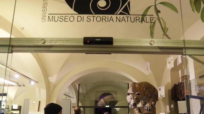Per partecipare c’è tempo fino al 25 marzo: ecco come fare