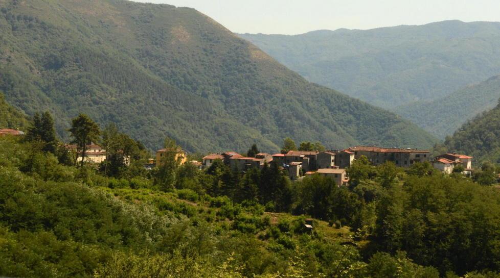 Partono le potature nelle vie e piazze di Pescaglia e frazioni