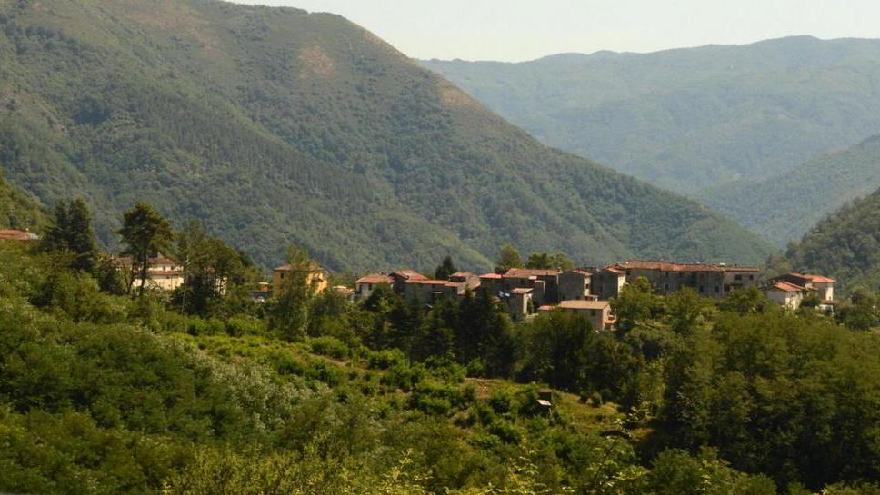 Partono le potature nelle vie e piazze di Pescaglia e frazioni