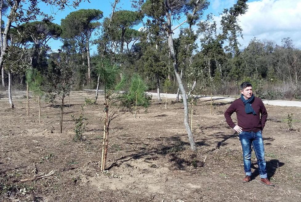 Cinquanta nuove piante in Versiliana