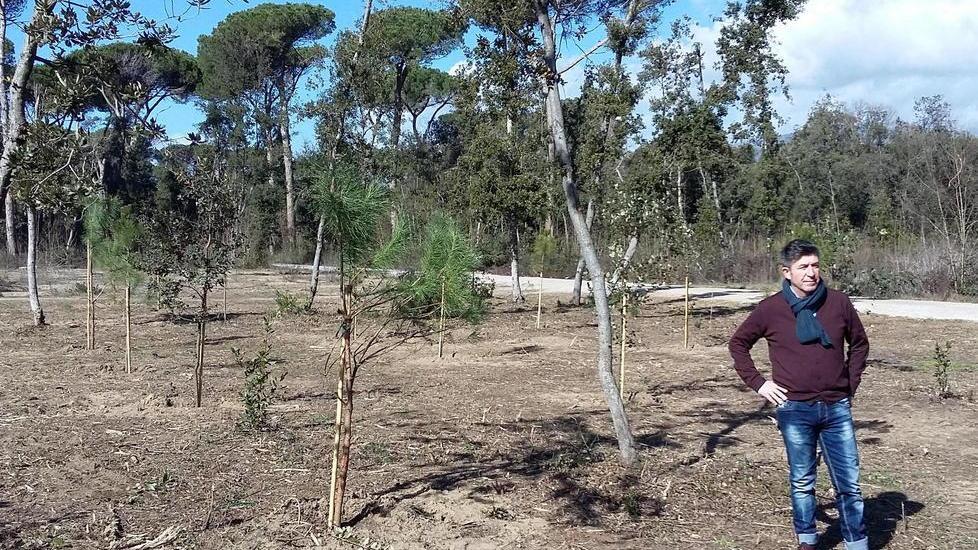 Cinquanta nuove piante in Versiliana