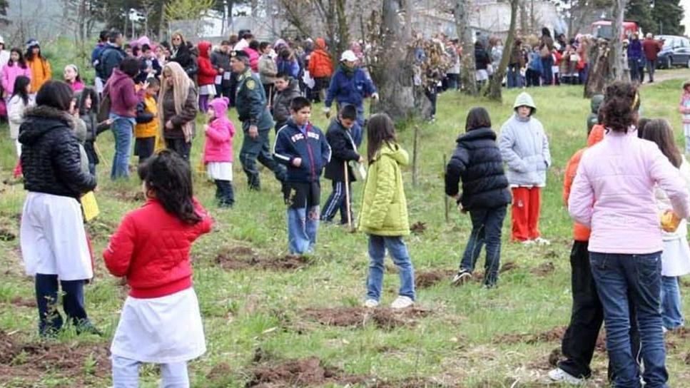 Manca (M5S): «Piantiamo un albero per ogni bambino»