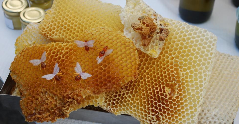 Degustazione del miele sardo, le iscrizioni al corso