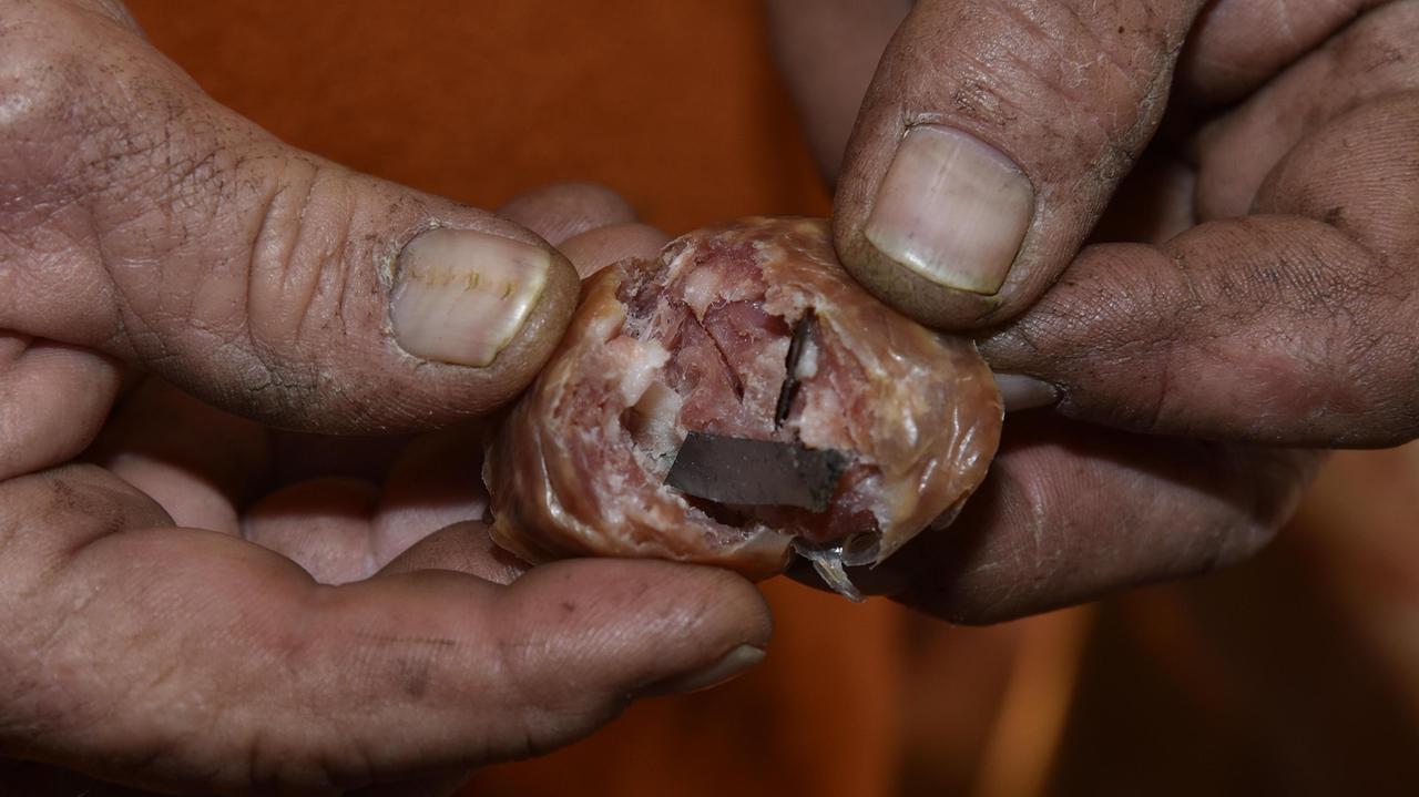 Una delle polpette con la lametta trovata