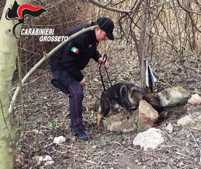 Carabinieri e cani antidroga 