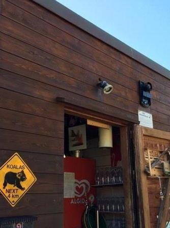 Nuovo assalto di ladri vandali al “Gattarossa Calamoresca” 