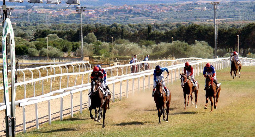 Ippodromo, c’è il bando ma Pala fa ricorso al Tar 