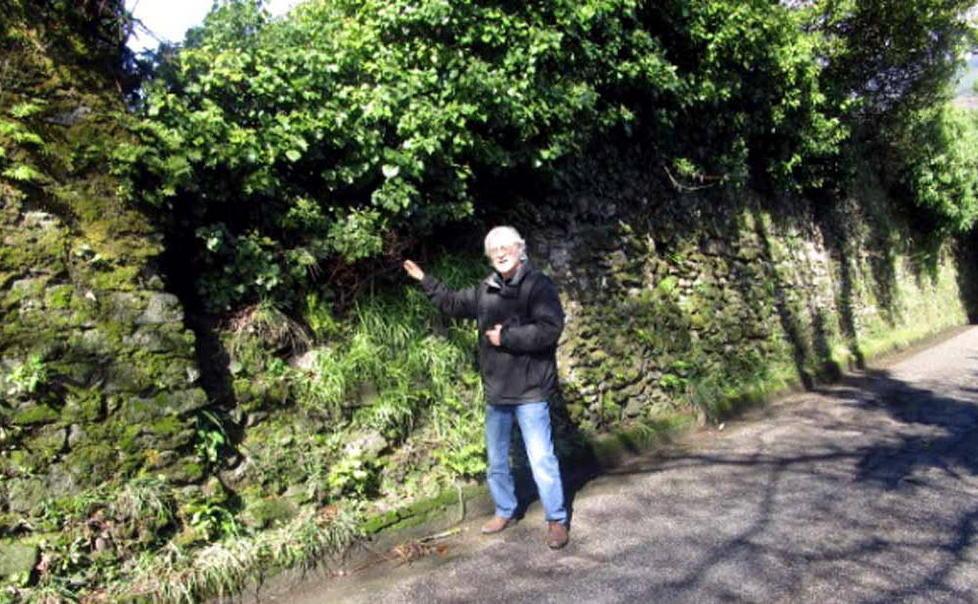 «In pericolo le mura Albericiane» 