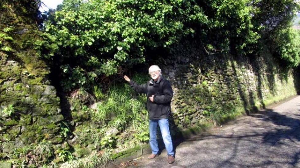 «In pericolo le mura Albericiane»