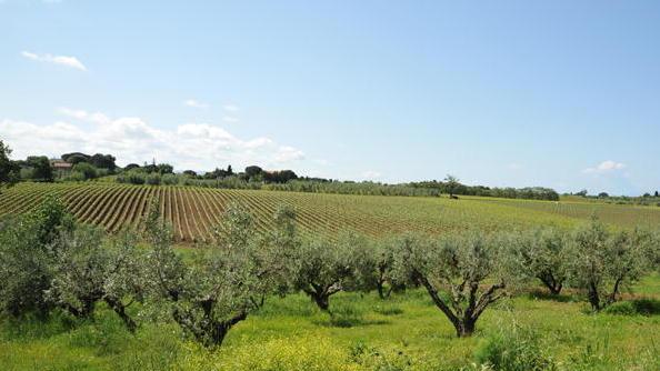 Asa cerca l’acqua nella zona del Paratino