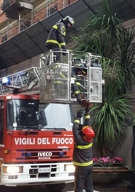 Maltempo, danni al Politeama 