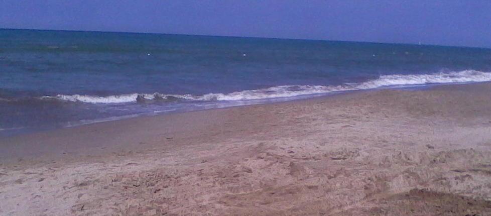 Un tuffo dove l'acqua è più blu: Pisa batte Livorno: lo dice Arpat