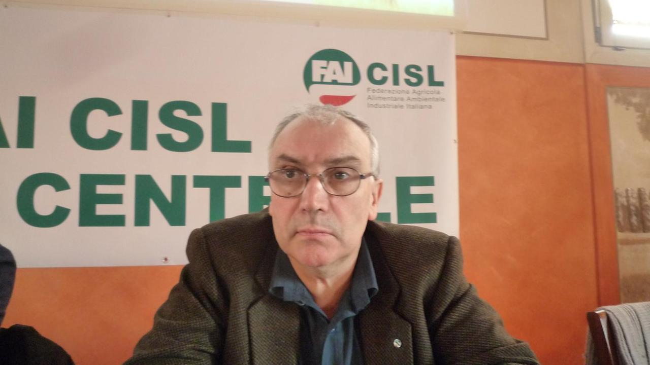 Fai Cisl conferma Daviddi