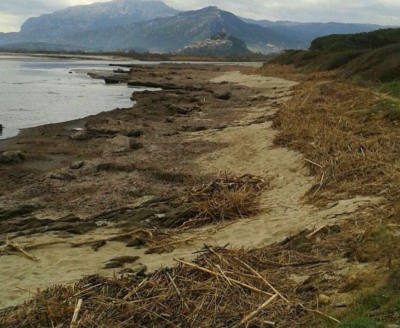  Orvile, spiaggia coperta di detriti 