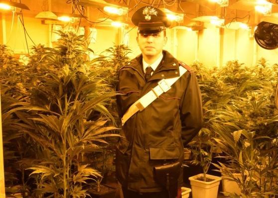 Uno dei capannoni dove si coltivavano le piante di cannabis in Veneto