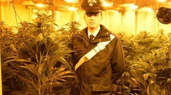 Uno dei capannoni dove si coltivavano le piante di cannabis in Veneto