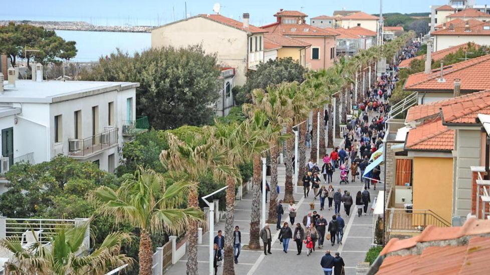 Palme lungo il viale della Vittoria a Marina di Cecina
