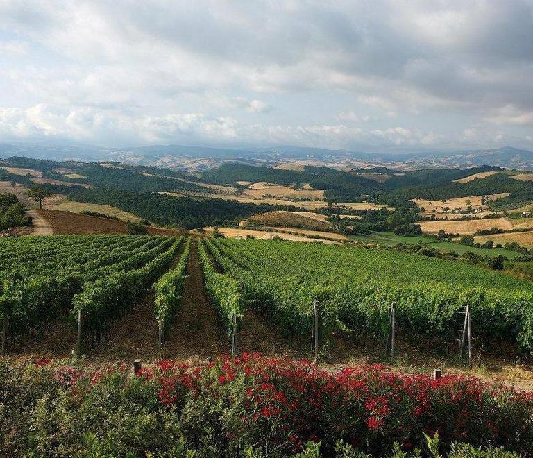 Nasce Poggi Castello Un’associazione per il borgo del cuore 