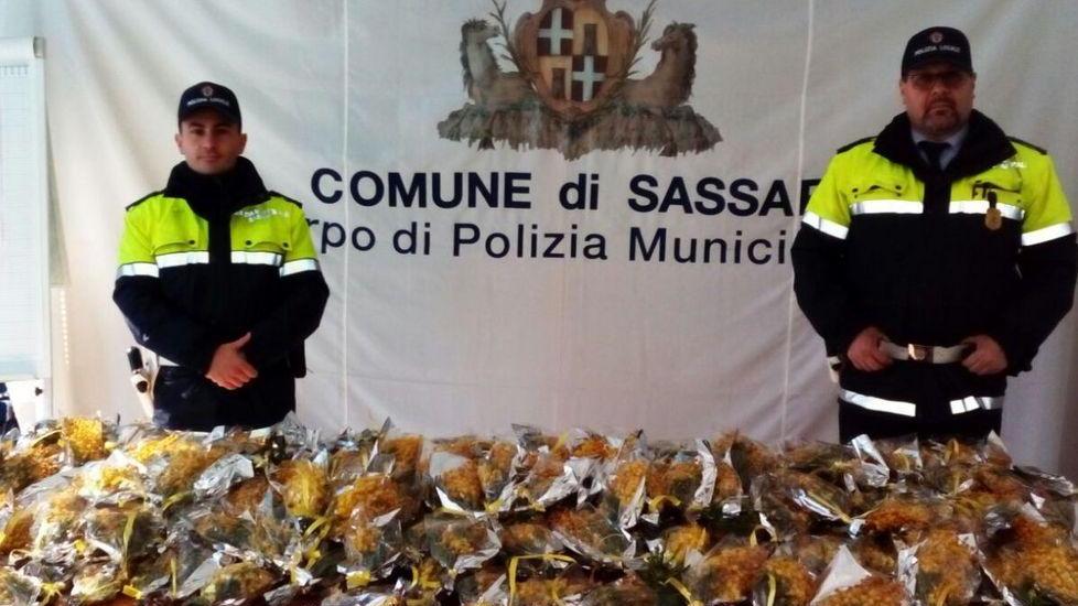 Blitz contro i venditori abusivi di mimose