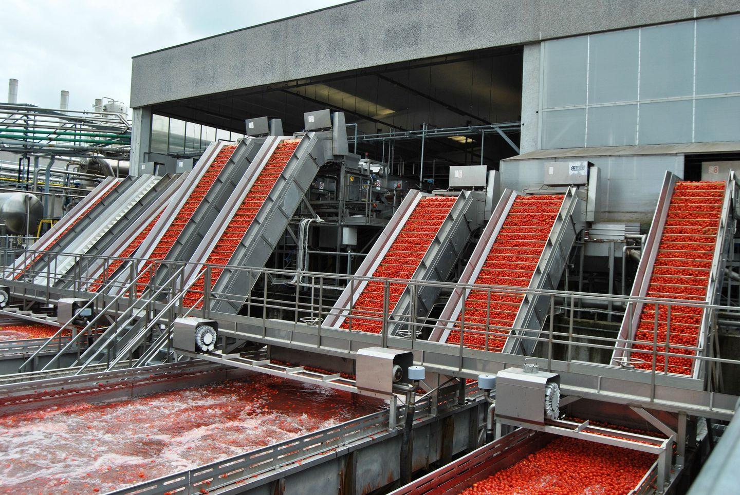 Ferrara Food penalizzata dall’accordo sul pomodoro 