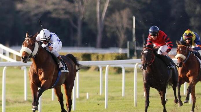 Ippica, a Winny il premio Marco Barabotti
