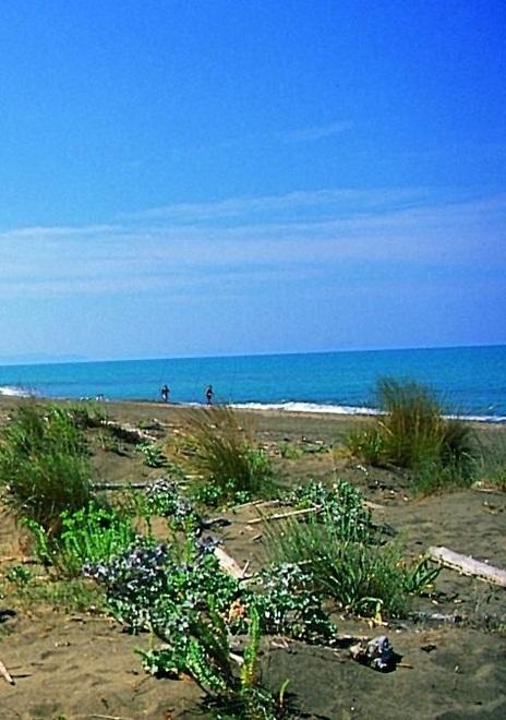 La Dakar in spiaggia nuovi appelli a difesa dell’arenile 