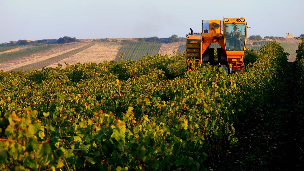Agricoltura, la Sardegna è tra le Regioni virtuose in Italia per la spesa di fondi Ue 