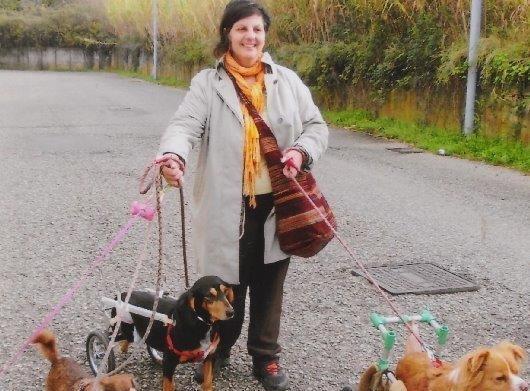 Rosa Rispoli con Timmi al guinzaglio e altri cani con handicap
