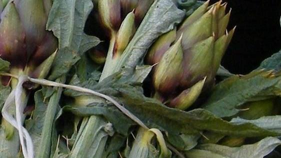 Piatti per tutti i palati oggi e domani
